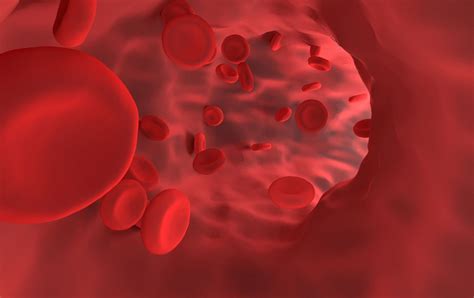 Hemoglobin A1c Reason For The Test And The Science Behind It