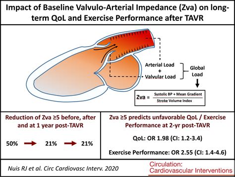 Impact Of Valvulo Arterial Impedance On Long Term Quality Of Life And Exercise Performance After
