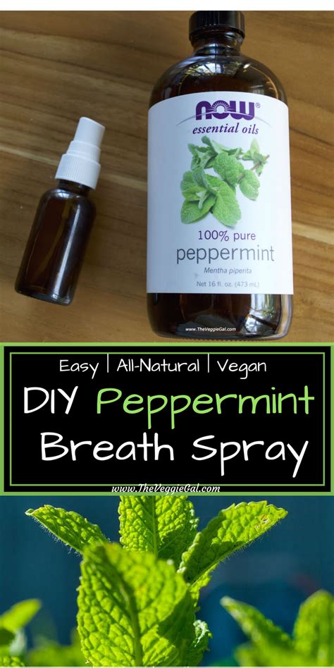 You might not need the entire amount of the additional 1 cup of distilled water. Easy Homemade Peppermint Breath Spray | All Natural - The Veggie Gal