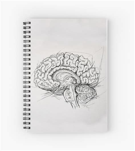 Brain Spiral Notebook By Kissart Redbubble