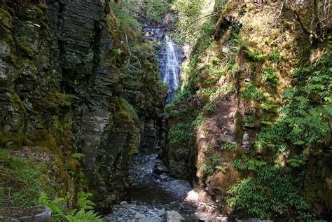 Whether growing them in containers or out in the backyard, the soil should be well drained and rich in organic matter. Lael Forest Garden and forest walk (Walkhighlands)