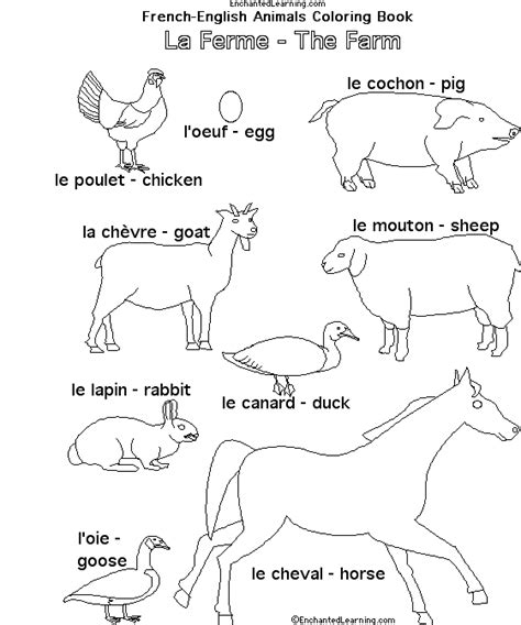 Farm Animals In French