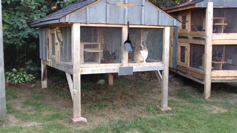 How To Build A Rabbit Hutch Update Youtube