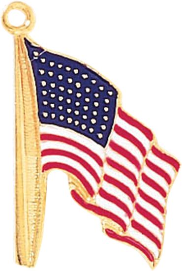 American Flag Lapel Pin png image