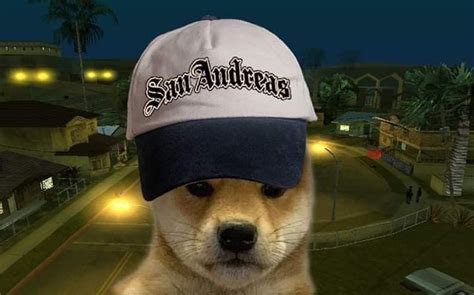 Pin By Connie Uchiha On Dog Xhido Dog Images Gang Culture Dog Memes