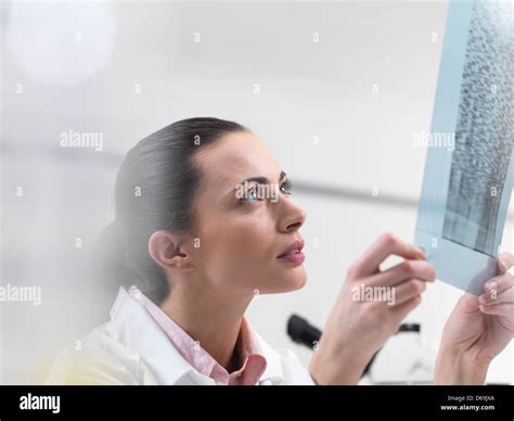 Scientist Examining Dna Sequencing Gel Stock Photo Alamy