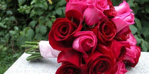 Buy 1 get 1 year free. A Basic Rose DIY Wedding Bouquet | HuffPost