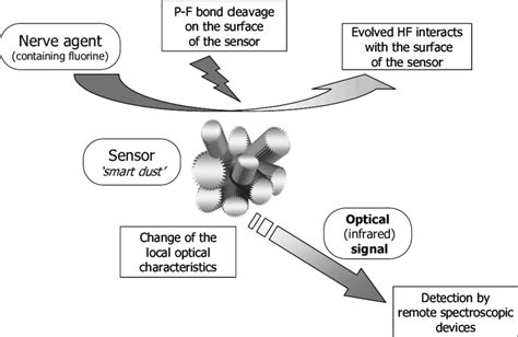 Simplified Mechanism Of Nerve Agent Detection Over Si Based Nanosensors