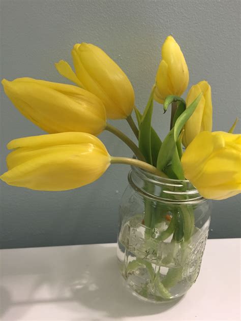 Happy Spring Modern Yellow Tulips In Mason Jar The