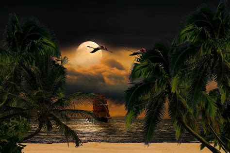 Landscape Nature Sea Night Beach Moon Clouds South Sea Palm