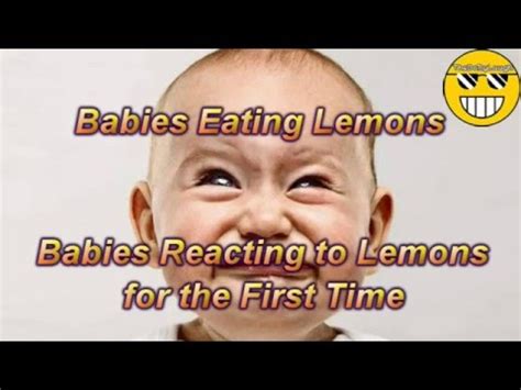 Babies Eating Lemons Babies Reacting To Lemons For The First Time