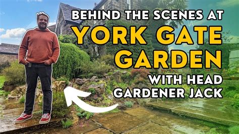 TROPICAL PLANT PARADISE! Behind the scenes at York Gate Garden, Leeds