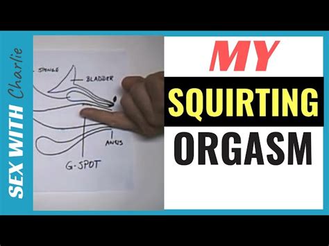 My Squirting Orgasim How To Stimulate Her G Spot