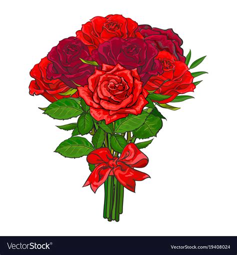 Use them in commercial designs under lifetime, perpetual & worldwide rights. Bunch red rose flowers tied with scarlet ribbon Vector Image