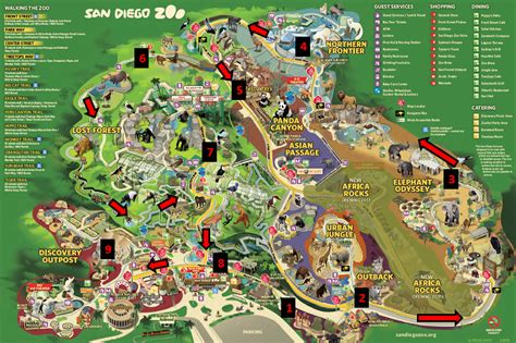 San Diego Zoo Guide