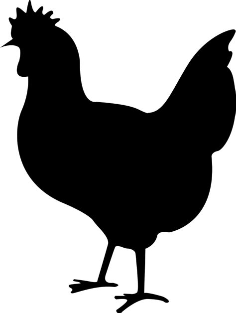 Chicken Svg Png Icon Free Download (#271025) - OnlineWebFonts.COM