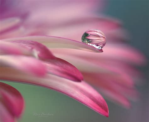 32 Beautiful Examples Of Water Drop Photography Graphic Design Junction