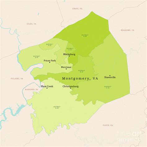 Va Montgomery County Vector Map Green Digital Art By Frank Ramspott