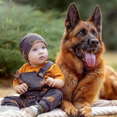 Pin De Gabriela Souto En Perriños Perros Bonitos Perros Y Gatos Graciosos Perros Y Bebes