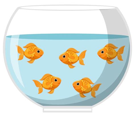 Premium Vector Five Goldfish In Big Bowl On White Background