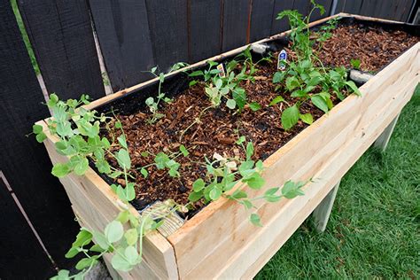How To And Not Build A Cedar Fence Picket Elevated Raised Planter