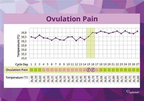 Mittelschmerz Ovulation Pain Cyclotest