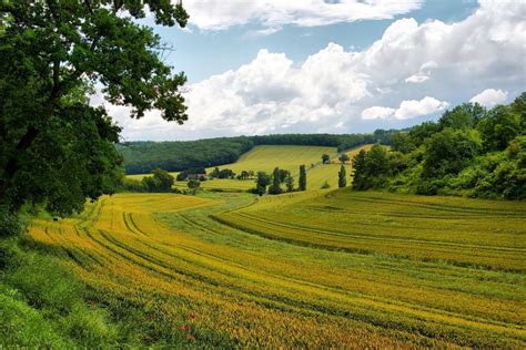Le gers en quelques chiffres. Gers : 5 choses à faire et à voir absolument - Voyageons.top