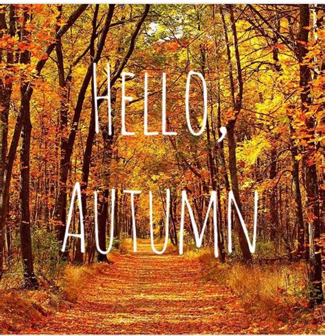 Hello Autumn 🍂 Writing Tools Hello Autumn Neon Signs Blogging