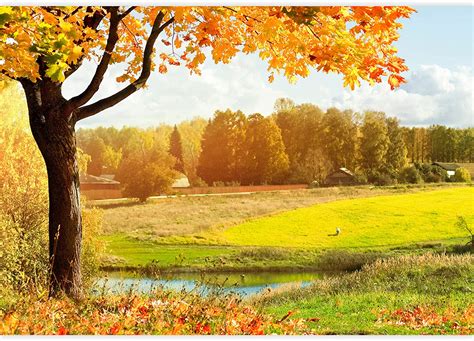 Wall26 Autumn Landscape Removable Wall Mural Self