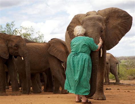 The Empress Of Elephant Orphans Dies Mpr News