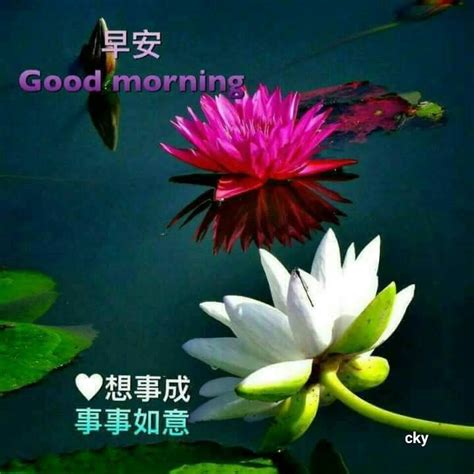 See more ideas about good morning wishes, morning wish, good morning. 628 best Good Morning Wishes In Chinese images on Pinterest