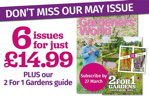 How To Weed And Reseed A Lawn Bbc Gardeners World Magazine