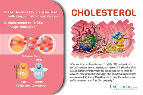 The 12 Best Heart Healthy Foods - DrJockers.com