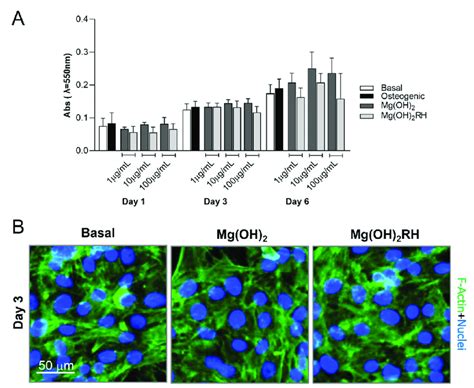 A Cell Viability Proliferation Mtt Assay Of Mg Cells Cultured In