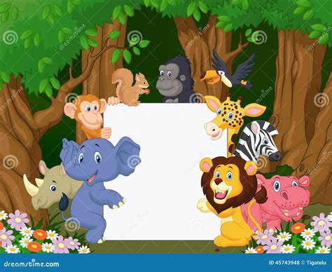 Cartoon Wild Animals Holding Blank Board 165192775