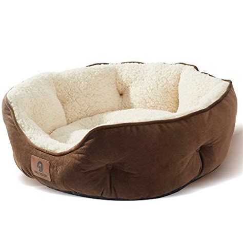 Best Animal Planet Dog Bed Perfect For Your Furry Friend