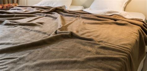 Dubious reports from sailors claim the beast stands thrice as high. Tempered blanket 100% Camel 390 gr/m². The lightest camel ...