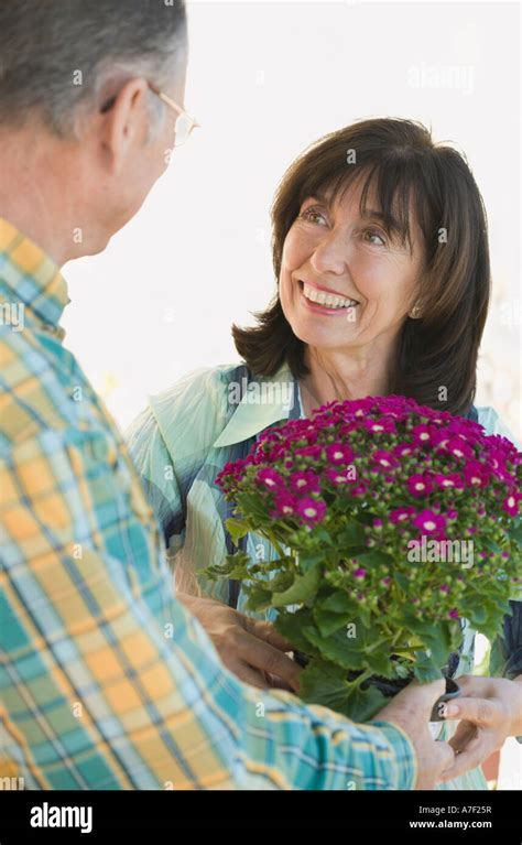 Senior Man Giving Wife Flowers Stock Photo Alamy