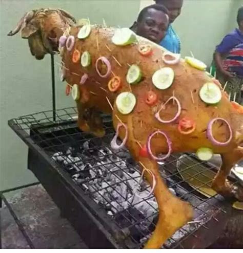 Browse naija news's complete collection of articles and commentary on sallah in nigeria and the world. Check Out This Sallah Ram.. .... Picture. - Food - Nigeria