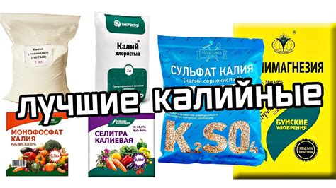 Фосфорно-калийные удобрения (5 видов): названия, инструкция по ...