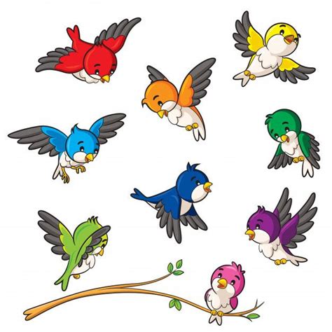 Premium Vector Birds Cartoon Cartoon Bird Drawing Cartoon Drawings
