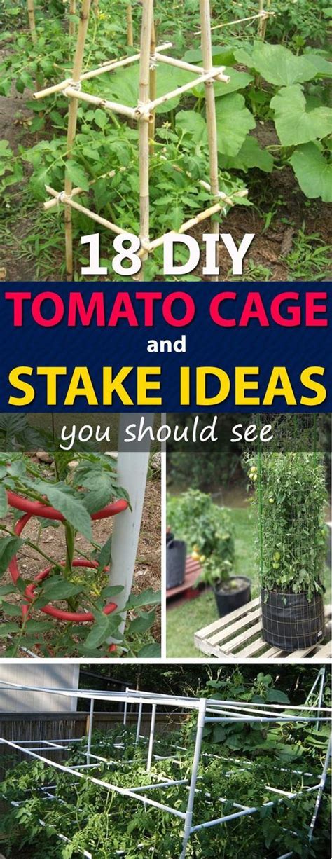 Searching For Some Really Prudent And Practical Diy Tomato Cage