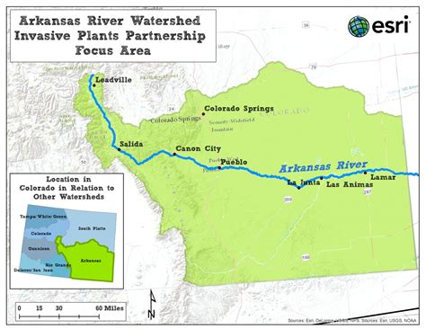 Arkansas River Watershed Invasive Plants Partnership