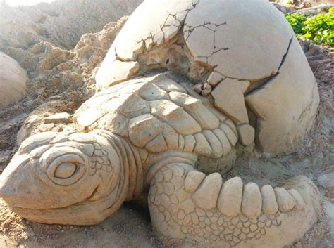 Sea Sculpture Snow Sculptures Turtle Love Sea Turtle Beach Land Art