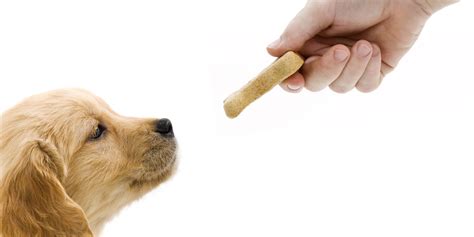 High Quality Dog Treats Can Change The Way You Train Best Dog Crates