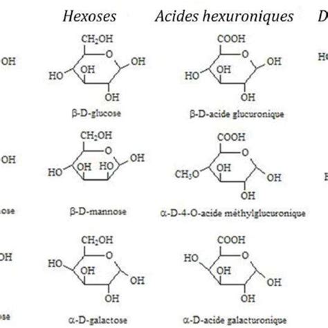 Principaux Carbohydrates Composant Les Hémicelluloses Adapté De 36 Download Scientific Diagram