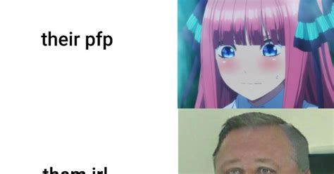 Discord Pfp Anime Transparent Hot Anime Girl Png De Perfil Discord