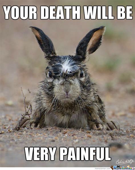 #oscar #white bunny #cute bunny #bunny face #pet bunny #bunny #bunnylove #bunnyrabbit #bunnylife #funny bunny #bunny meme #black and white bunny #rabbit mom #bunny rabbit #cute. ANGRY MEMES image memes at relatably.com