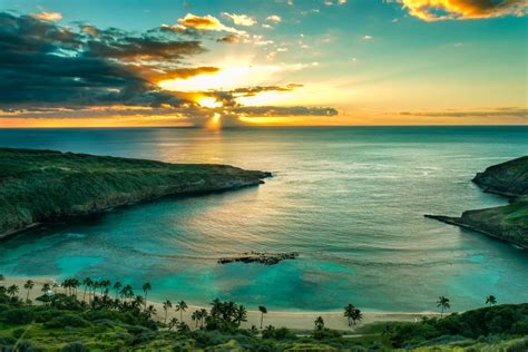 Why You Need To Explore Hanauma Bay Private Homes Hawaii
