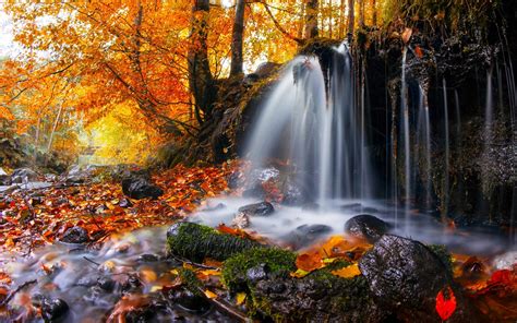 Waterfalls And Maple Tree Nature Landscape Waterfall Trees Hd